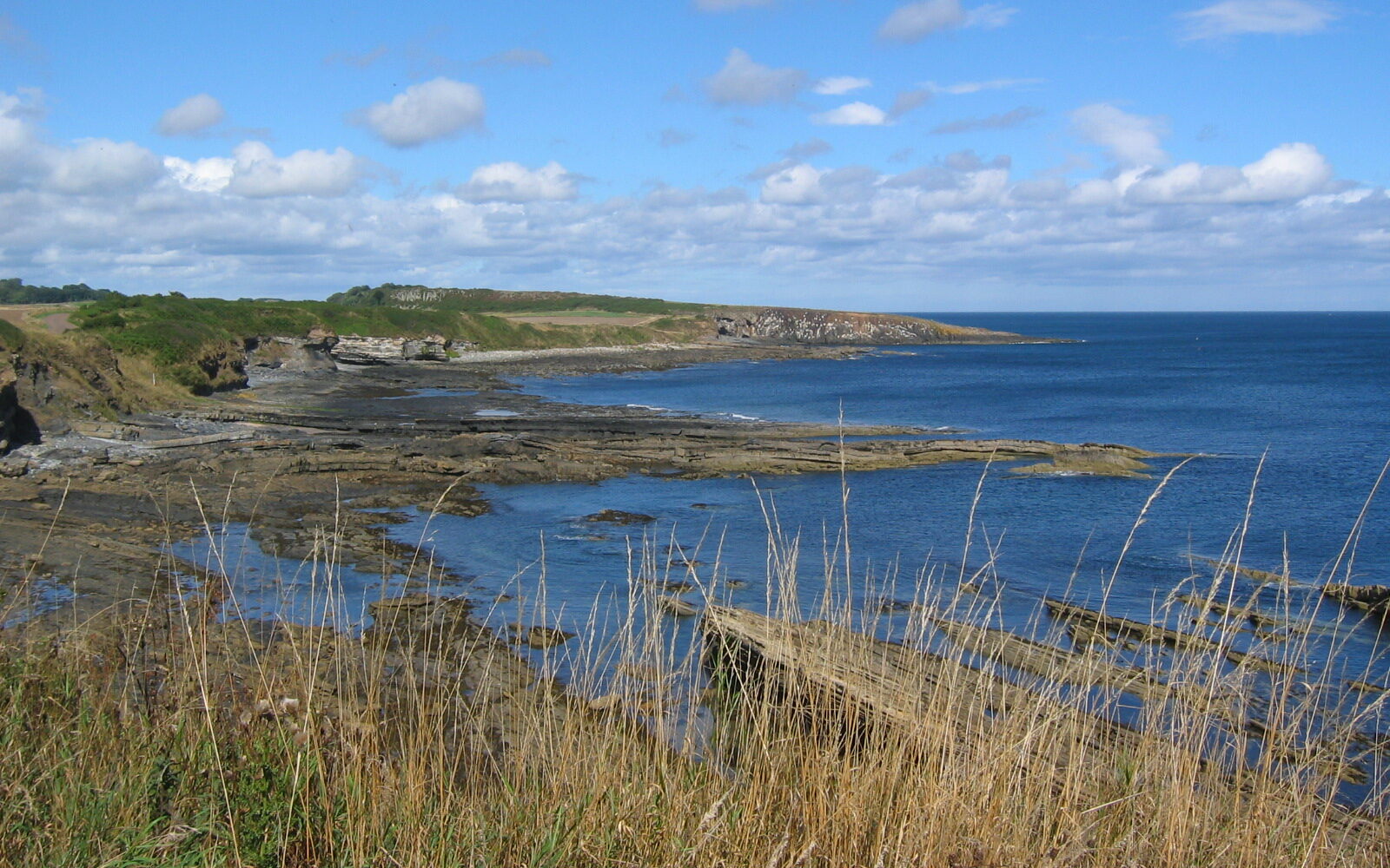 Coastline near Craster, Northumberland Coastal Path Coastline near Craster, Northumberland Coast Path