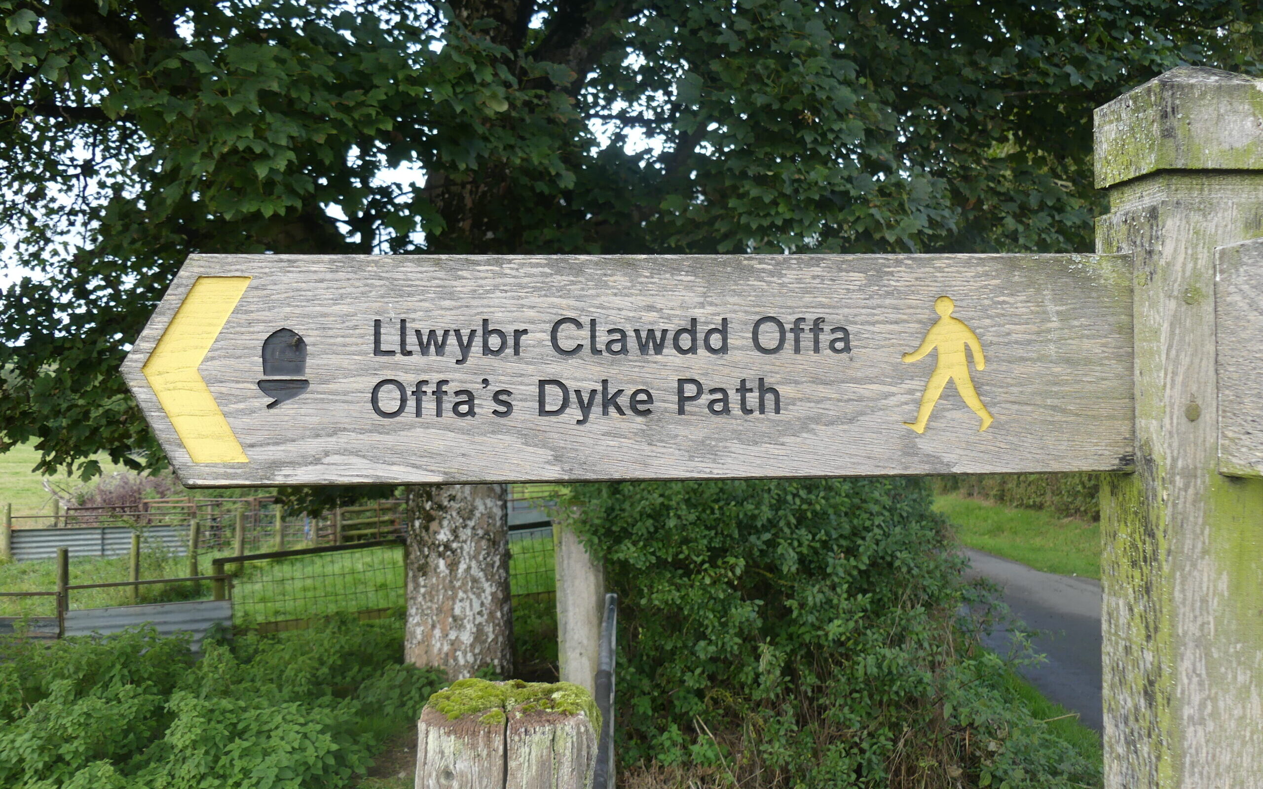 Offas Dyke waymarker