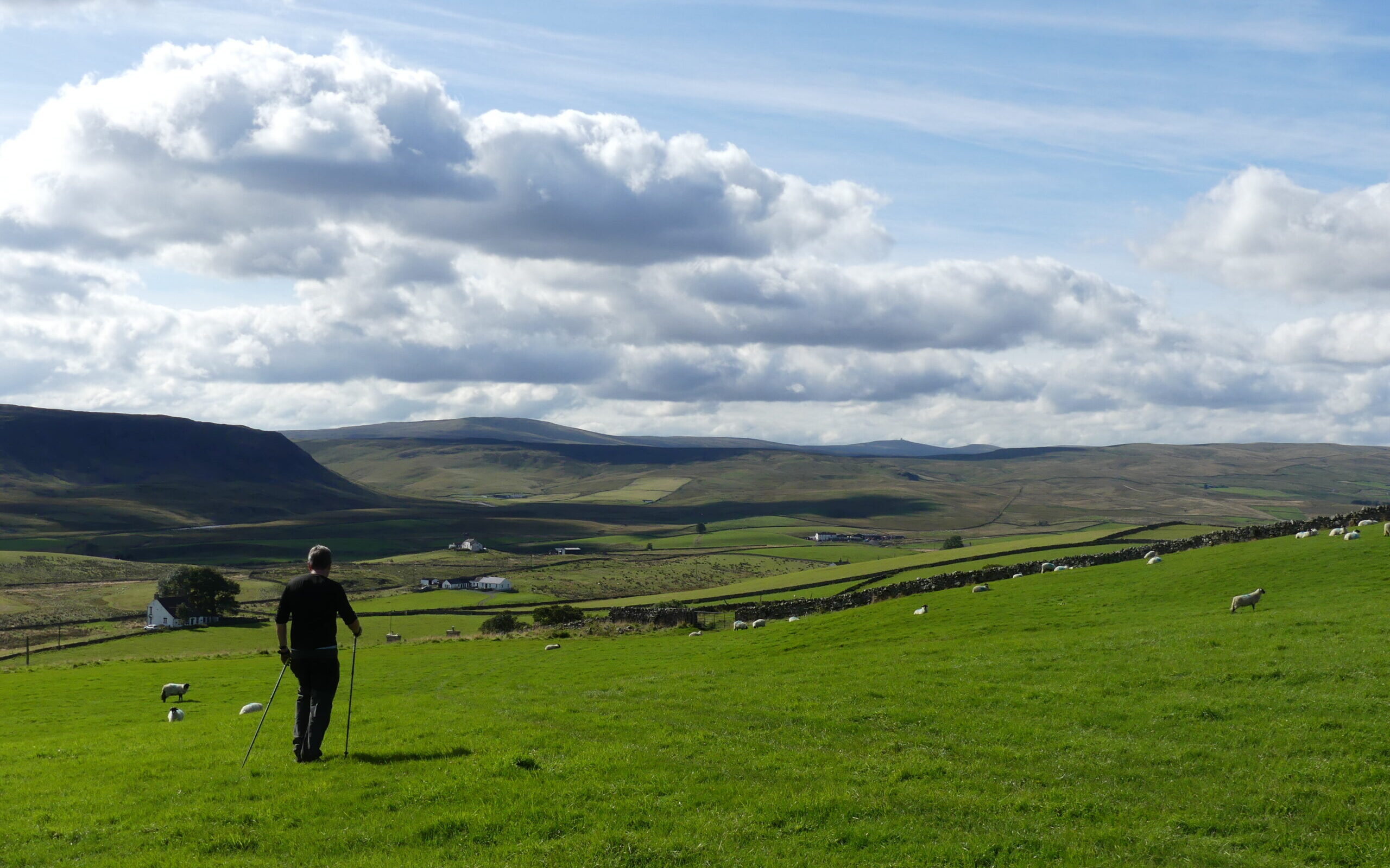 Langdon Beck, Upper Teasdale. Pennine Journey. Will Ainslie.
